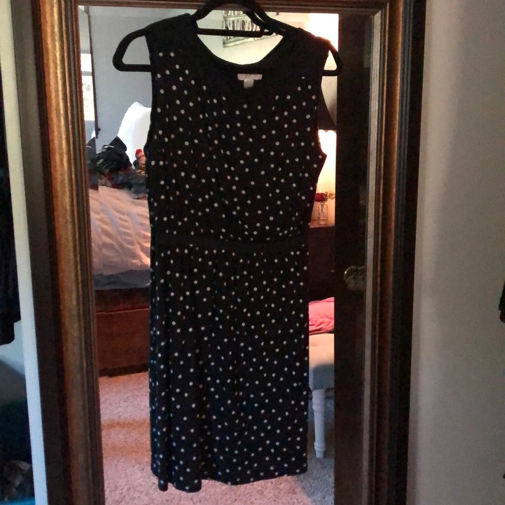 Polka dot LOFT dress
